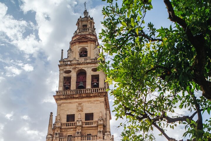 Excursion d'une journée à Cordoue depuis Malaga, avec des sites historiques et le pont romain, photo 13 | wizardtrip