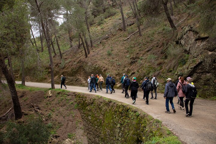 Guidet tur på Caminito del Rey gangbroen i Málaga, Spanien, med fantastisk udsigt over kløften og broer, foto 23 | wizardtrip