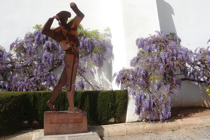 Dagsudflugt til Ronda og Setenil de las Bodegas fra Málaga, Andalusien, Spanien, foto 18 | wizardtrip