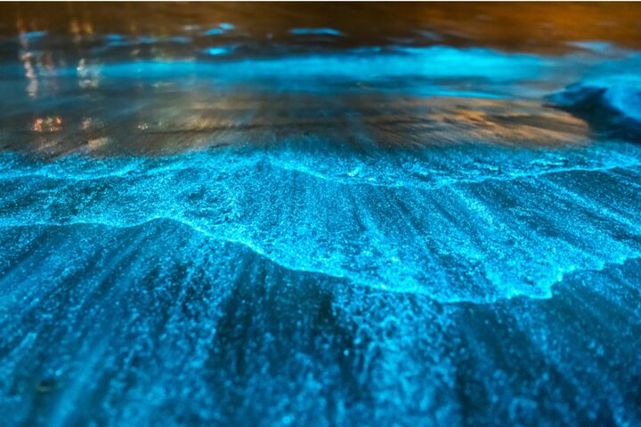 Bioluminescence en kayak ou SUP vers Los Arcos, Puerto Vallarta | wizardtrip