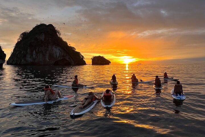 Kajak- och SUP-tur för att se bioluminiscens vid Los Arcos, Puerto Vallarta på natten, foto 6 | wizardtrip