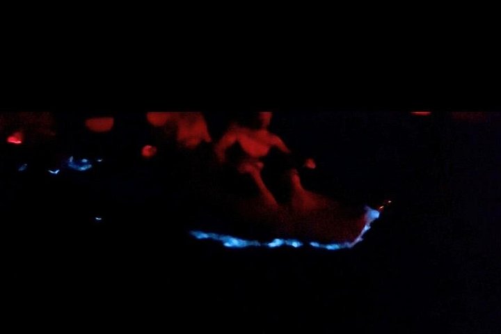 Kajak- och SUP-tur för att se bioluminiscens vid Los Arcos, Puerto Vallarta på natten, foto 7 | wizardtrip