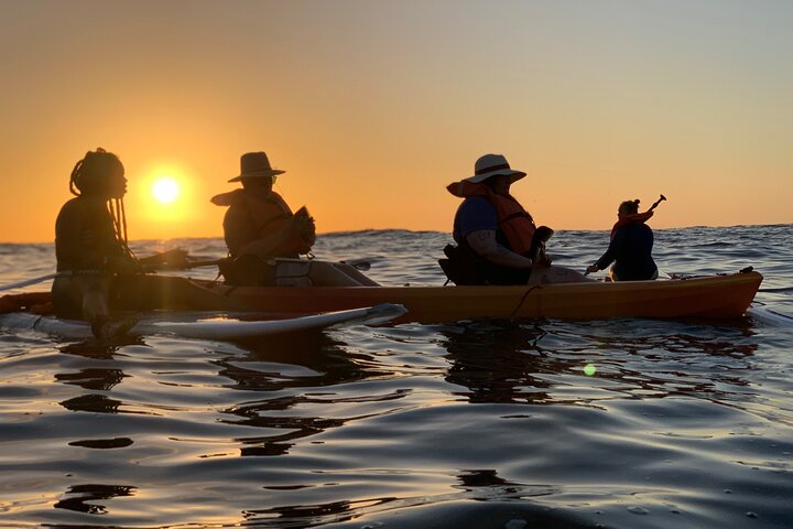 Kajak- och SUP-tur för att se bioluminiscens vid Los Arcos, Puerto Vallarta på natten, foto 17 | wizardtrip