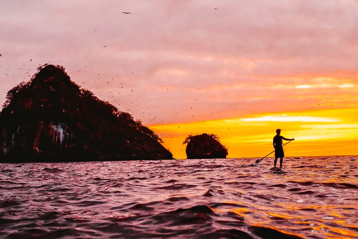 Kajak- och SUP-tur för att se bioluminiscens vid Los Arcos, Puerto Vallarta på natten, foto 19 | wizardtrip
