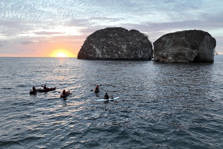 Kajak- och SUP-tur för att se bioluminiscens vid Los Arcos, Puerto Vallarta på natten, foto 23 | wizardtrip