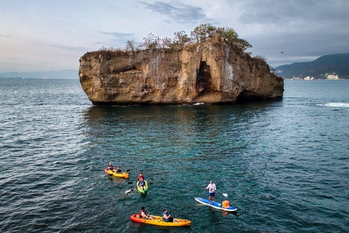 Kajak- och SUP-tur för att se bioluminiscens vid Los Arcos, Puerto Vallarta på natten, foto 25 | wizardtrip