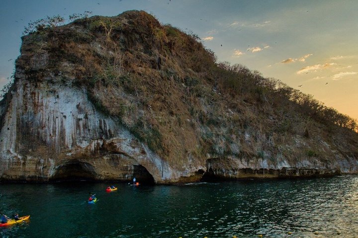 Kajak- och SUP-tur för att se bioluminiscens vid Los Arcos, Puerto Vallarta på natten, foto 26 | wizardtrip