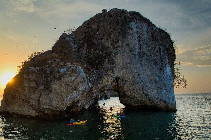 Kajak- och SUP-tur för att se bioluminiscens vid Los Arcos, Puerto Vallarta på natten, foto 28 | wizardtrip