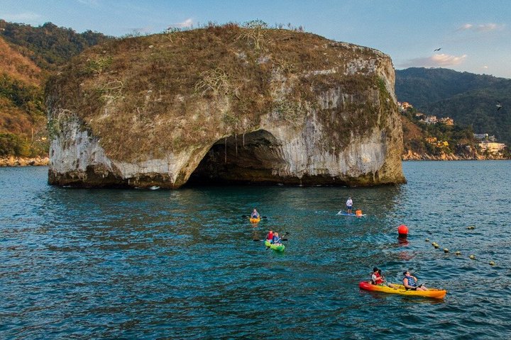 Kajak- och SUP-tur för att se bioluminiscens vid Los Arcos, Puerto Vallarta på natten, foto 29 | wizardtrip