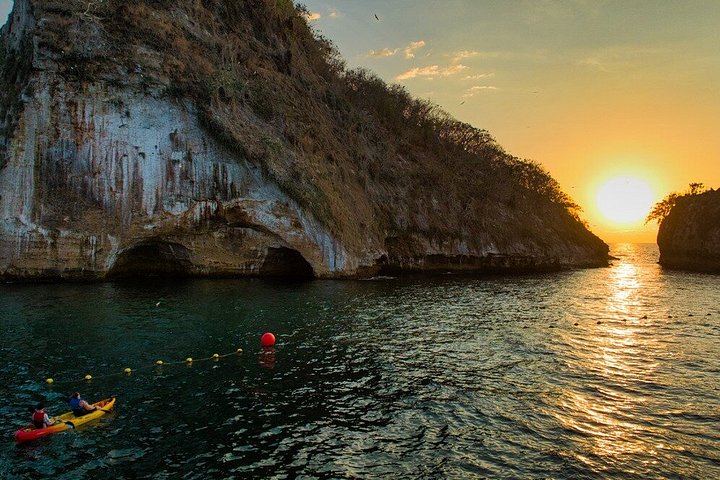 Kajak- och SUP-tur för att se bioluminiscens vid Los Arcos, Puerto Vallarta på natten, foto 30 | wizardtrip
