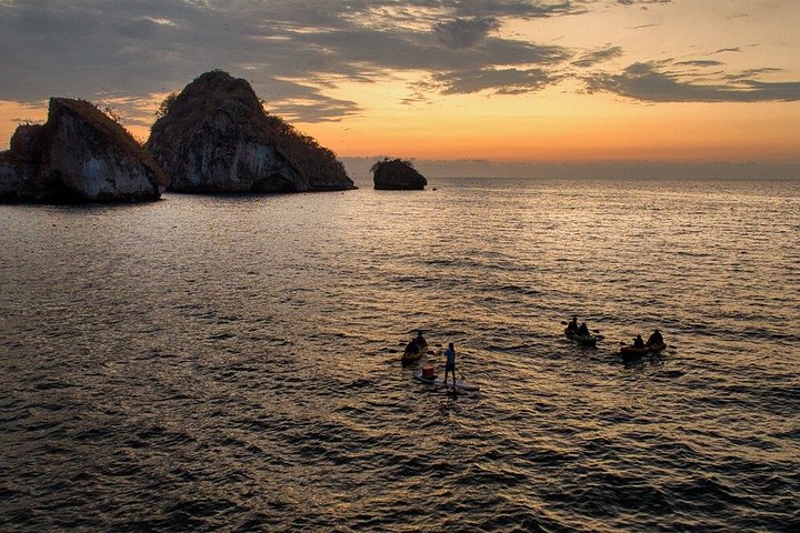 Kajak- och SUP-tur för att se bioluminiscens vid Los Arcos, Puerto Vallarta på natten, foto 31 | wizardtrip