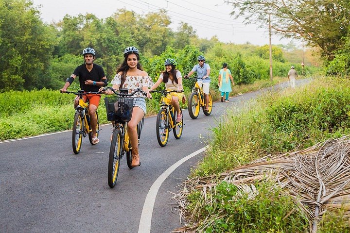 BLive Vélos Électriques – Découverte de l'Île de Divar | wizardtrip