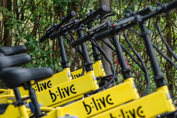 Elcykeltur på Divar Island, Goa, der udforsker kulturarv og lokalt liv, foto 6 | wizardtrip