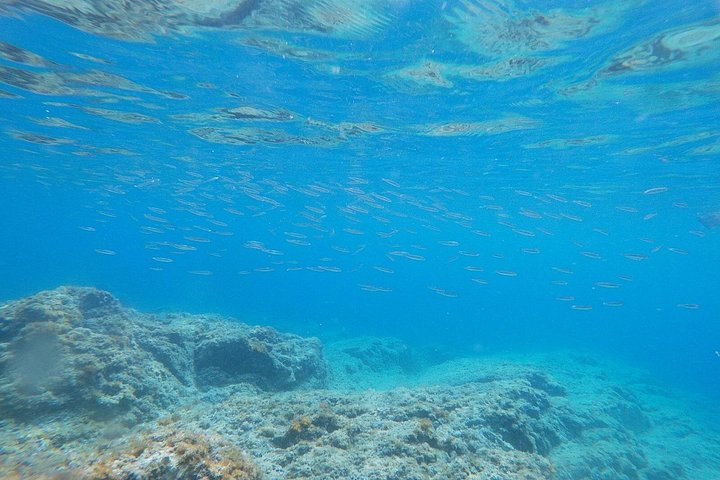 Kajak- og snorkeleventyr, der udforsker havgrotter og bugter langs Costa Brava, foto 9 | wizardtrip