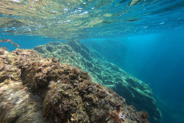 Kajak- og snorkeleventyr, der udforsker havgrotter og bugter langs Costa Brava, foto 11 | wizardtrip