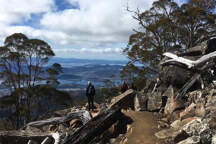 Hobart's kunanyi/Mt Wellington Explorer Bus offers stunning views and flexible exploration options, photo 6 | wizardtrip