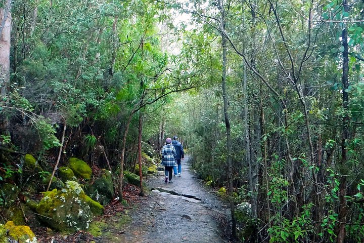 Hobart's kunanyi/Mt Wellington Explorer Bus offers stunning views and flexible exploration options, photo 7 | wizardtrip