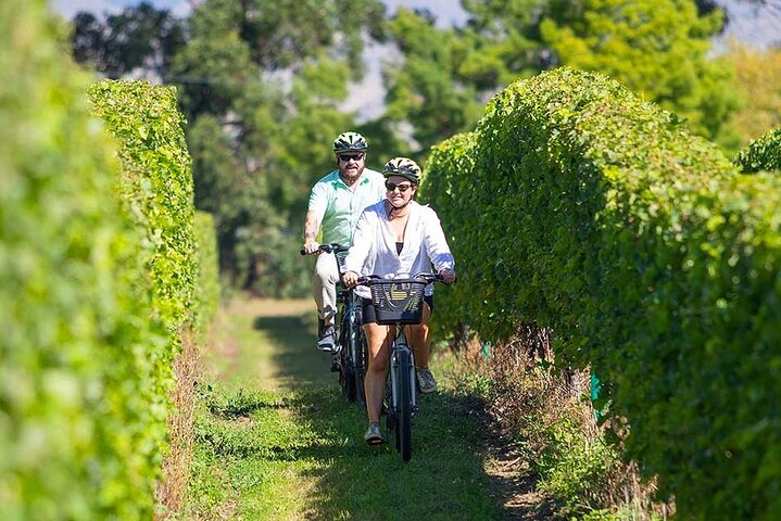 Geführte Weinradtouren mit Lorelle & Greg | wizardtrip