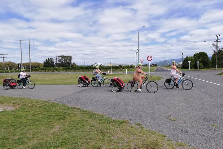 Zelf begeleide fietstocht door Blenheim wijngaarden, het verkennen van lokale wijnhuizen en genieten van wijnproeverijen, foto 15 | wizardtrip