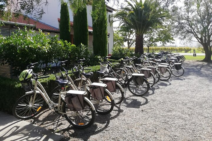 Zelf begeleide fietstocht door Blenheim wijngaarden, het verkennen van lokale wijnhuizen en genieten van wijnproeverijen, foto 18 | wizardtrip