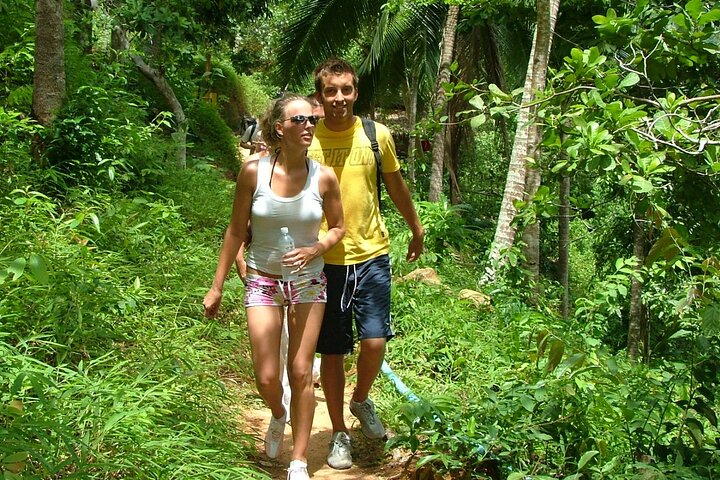 Jeep safari avontuur door de jungle van Koh Samui, bezoek watervallen, tempels en schilderachtige uitzichtpunten, foto 26 | wizardtrip