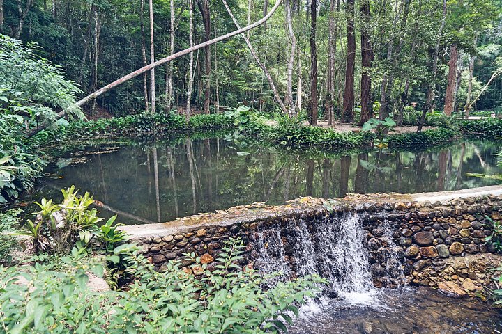 Explore Rio's Tijuca Rainforest, waterfalls, caves, and viewpoints on a guided hike, photo 13 | wizardtrip