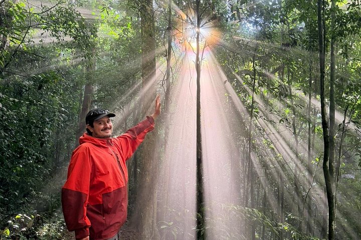 Explore Rio's Tijuca Rainforest, waterfalls, caves, and viewpoints on a guided hike, photo 15 | wizardtrip