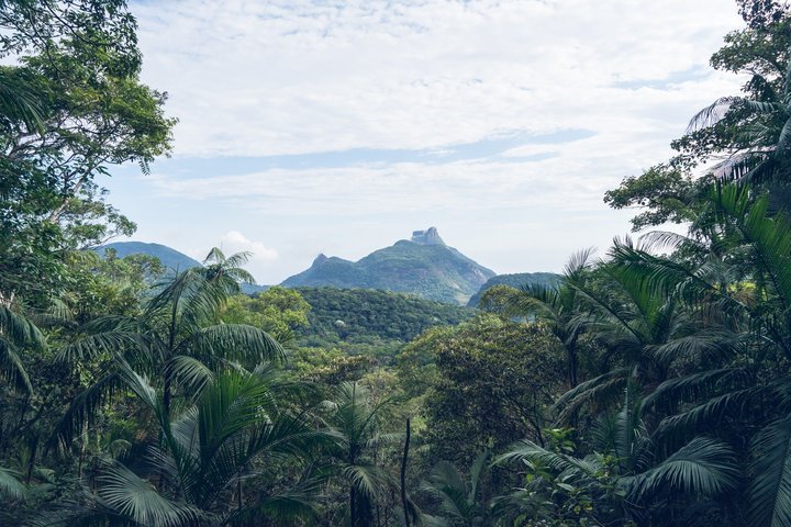Explore Rio's Tijuca Rainforest, waterfalls, caves, and viewpoints on a guided hike, photo 17 | wizardtrip