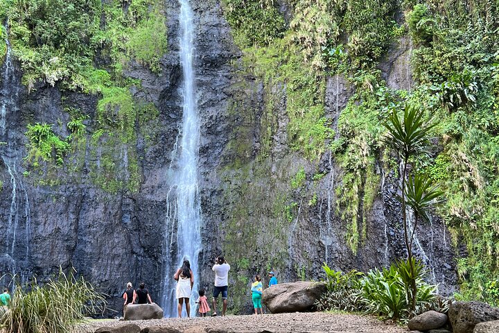 Explore Tahiti's East Coast with a small group, visiting black sand beaches, waterfalls, and cultural sites, photo 6 | wizardtrip
