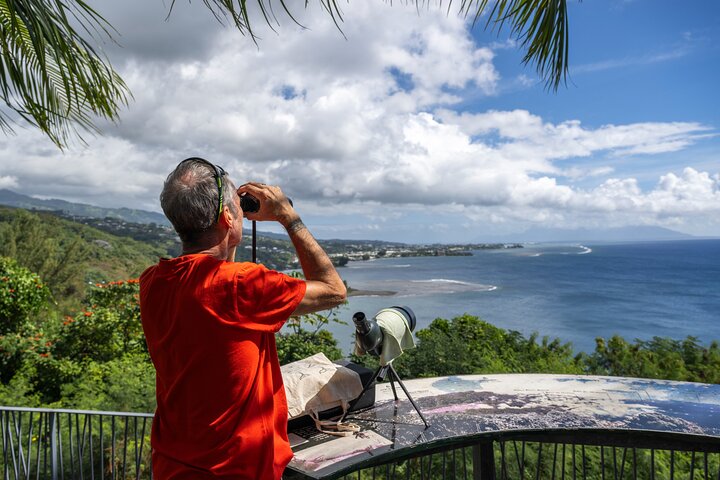 Explore Tahiti's East Coast with a small group, visiting black sand beaches, waterfalls, and cultural sites, photo 7 | wizardtrip