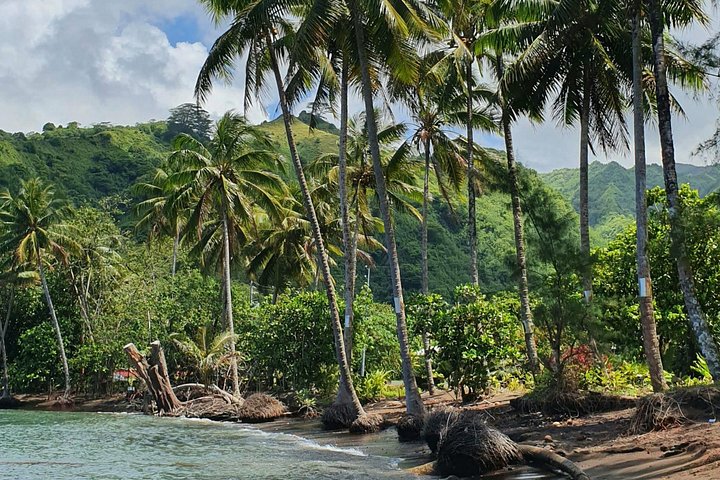 Explore Tahiti's East Coast with a small group, visiting black sand beaches, waterfalls, and cultural sites, photo 23 | wizardtrip
