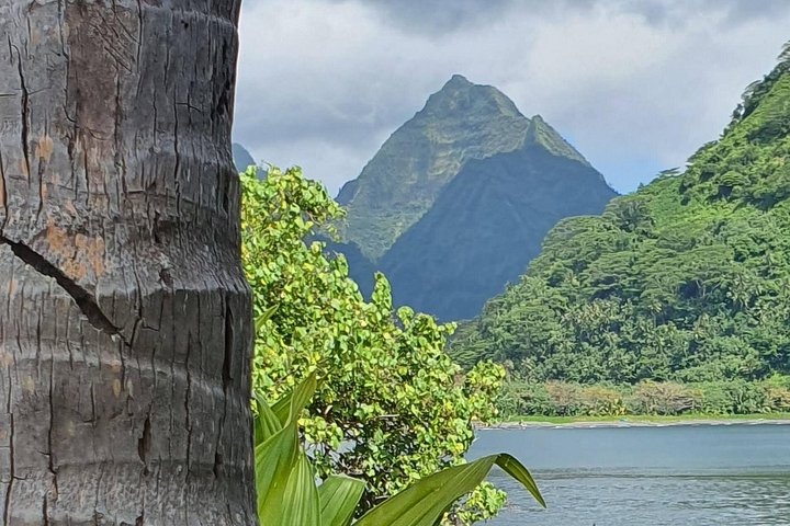 Explore Tahiti's East Coast with a small group, visiting black sand beaches, waterfalls, and cultural sites, photo 33 | wizardtrip