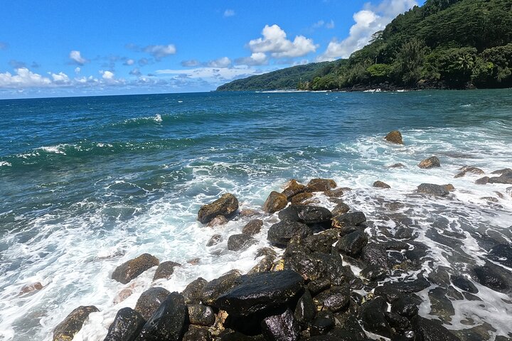 Explore Tahiti's East Coast with a small group, visiting black sand beaches, waterfalls, and cultural sites, photo 35 | wizardtrip