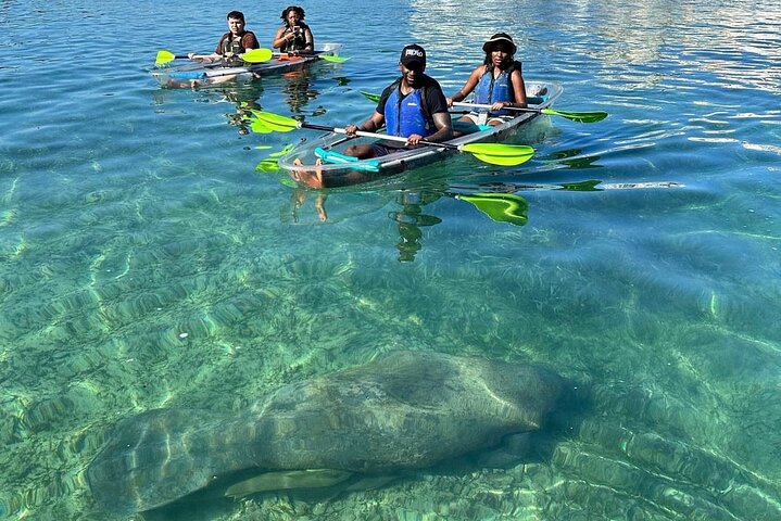 Clear Kayak Tour in Condado Lagoon | wizardtrip