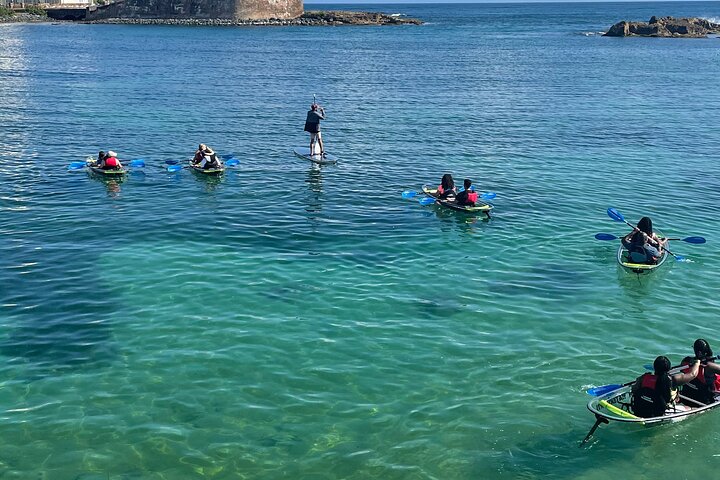Clear kayak tour in Condado Lagoon, San Juan, Puerto Rico, offering city views and marine life encounters, photo 8 | wizardtrip