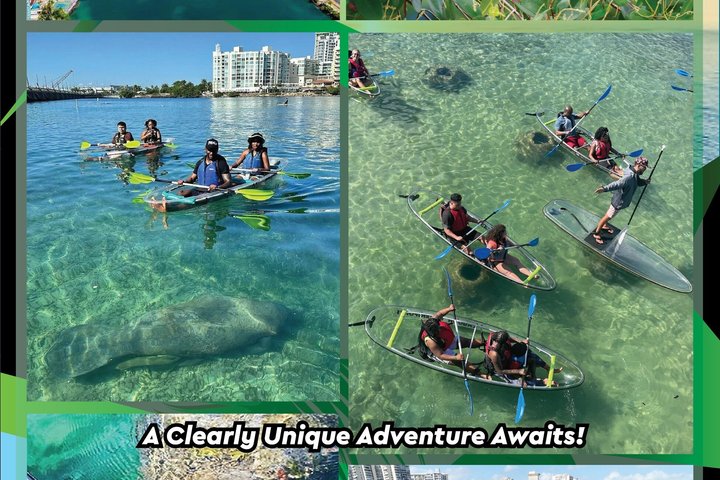 Clear kayak tour in Condado Lagoon, San Juan, Puerto Rico, offering city views and marine life encounters, photo 9 | wizardtrip