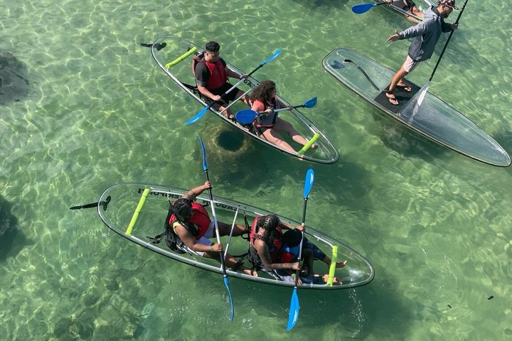 Clear kayak tour in Condado Lagoon, San Juan, Puerto Rico, offering city views and marine life encounters, photo 10 | wizardtrip