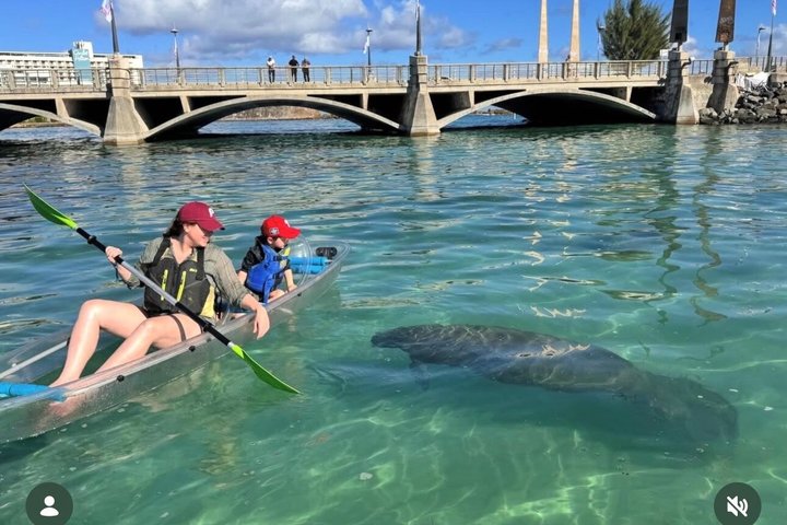 Clear kayak tour in Condado Lagoon, San Juan, Puerto Rico, offering city views and marine life encounters, photo 13 | wizardtrip