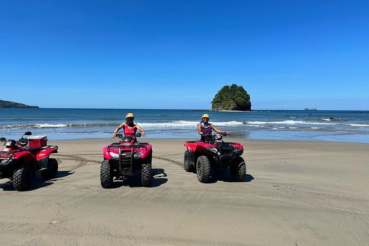 ATV-tur langs Costa Ricas strender og fjell, med dyreliv og naturskjønn utsikt, foto 45 | wizardtrip