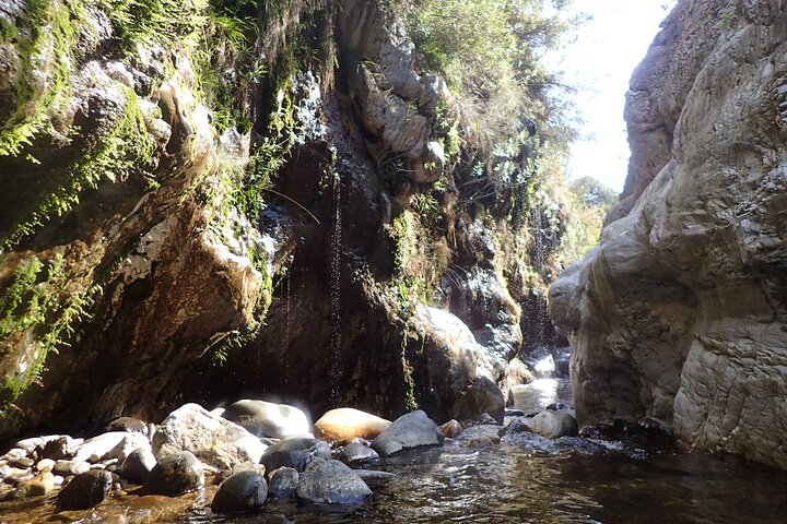 Vivez un canyoning palpitant dans le canyon de Guadalmina près de Marbella, en Espagne, avec des sauts, des toboggans et du rappel, photo 11 | wizardtrip