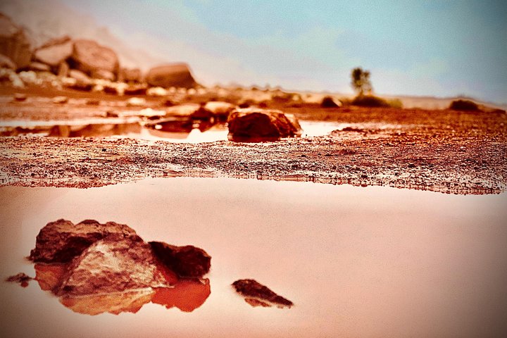 モニュメントバレーの広大な風景と文化遺産を、延長された4x4バックカントリーツアーで体験してください、写真31 | wizardtrip