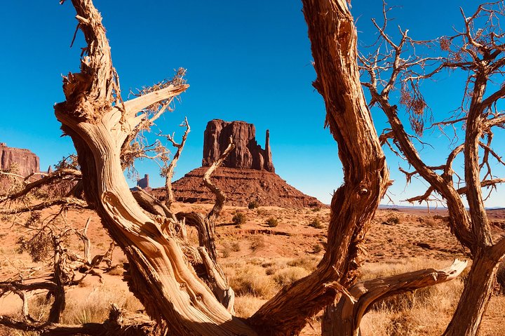Erleben Sie eine geführte Sonnenuntergangs-Tour durch die ikonischen Landschaften und gesperrten Gebiete des Monument Valley, Foto 30 | wizardtrip