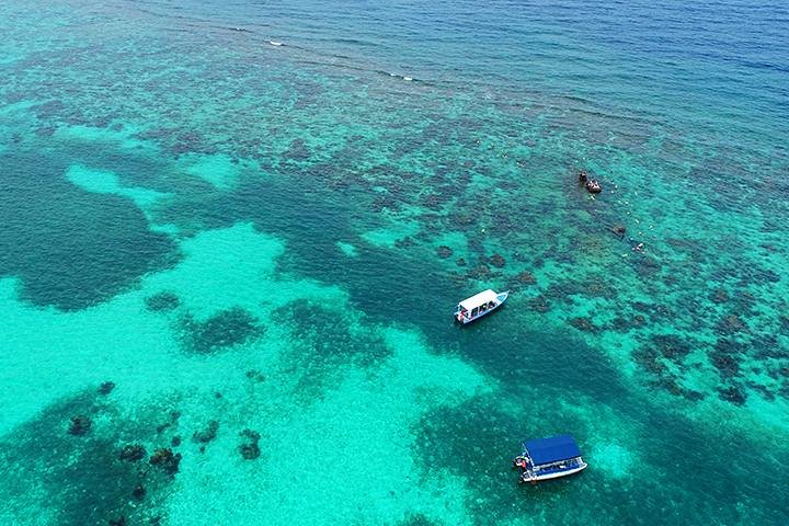 Roatan : Aventure Snorkeling 3 Sites, Épave, Étoiles de Mer & Canal Bleu | wizardtrip