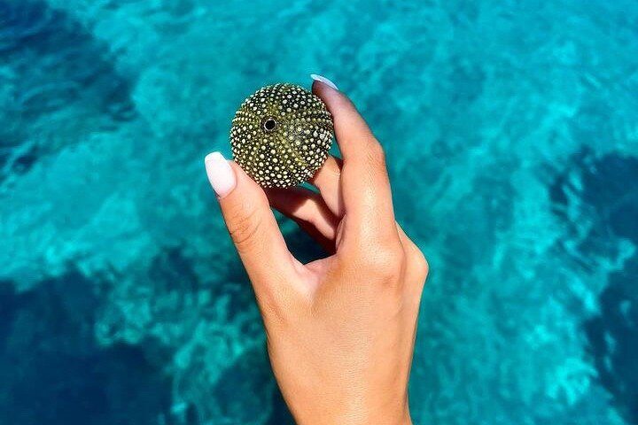 ミコノス島から歴史的なデロス島と美しいレニア島への景色の良いセーリングクルーズ、写真11 | wizardtrip