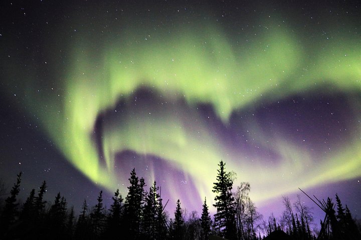Turistas a observar a Aurora Boreal de um autocarro no Ingraham Trail em Yellowknife, Canadá, foto 8 | wizardtrip