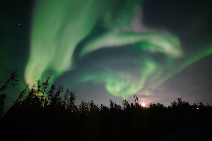 Turistas a observar a Aurora Boreal de um autocarro no Ingraham Trail em Yellowknife, Canadá, foto 10 | wizardtrip