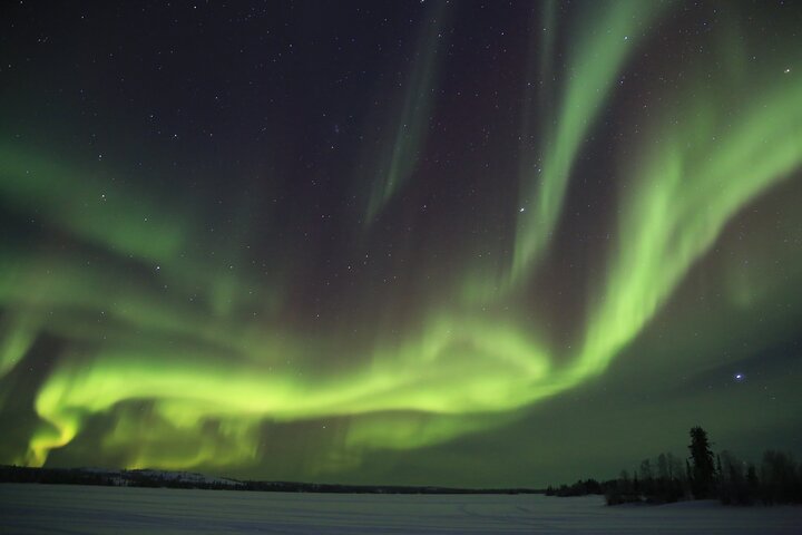 Turistas a observar a Aurora Boreal de um autocarro no Ingraham Trail em Yellowknife, Canadá, foto 14 | wizardtrip