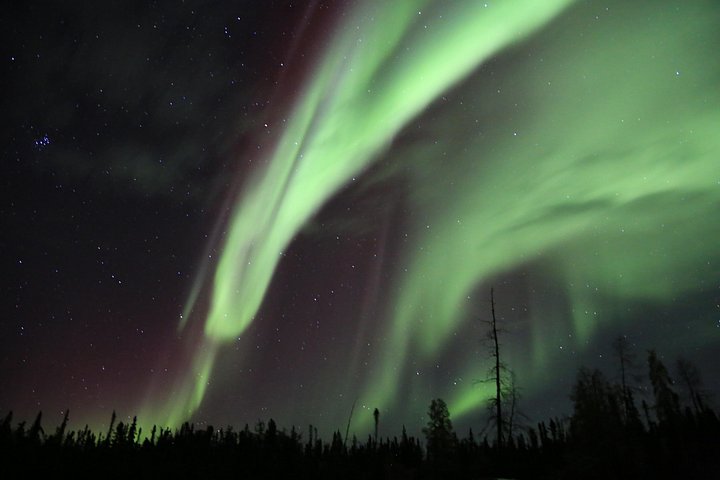 Turistas a observar a Aurora Boreal de um autocarro no Ingraham Trail em Yellowknife, Canadá, foto 15 | wizardtrip