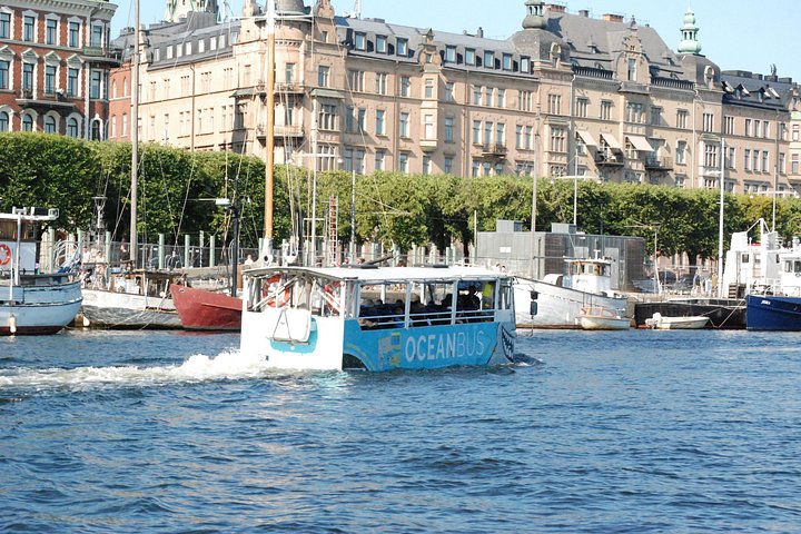 Amphibious bus tour in Stockholm, exploring city landmarks from land and water, photo 15 | wizardtrip