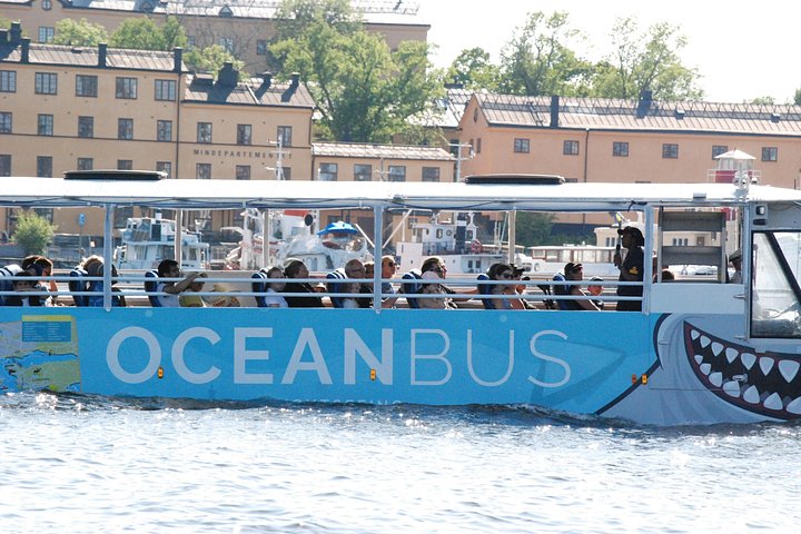 Amphibious bus tour in Stockholm, exploring city landmarks from land and water, photo 16 | wizardtrip